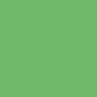 叶绿色(#386)- 20“x 24”凝胶片