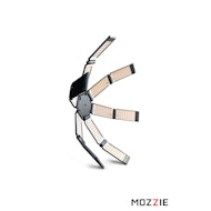 Hudson Spider Mozzie